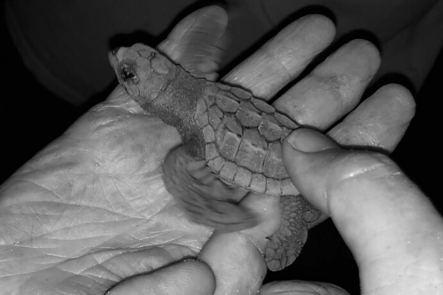 Blog small image(1)